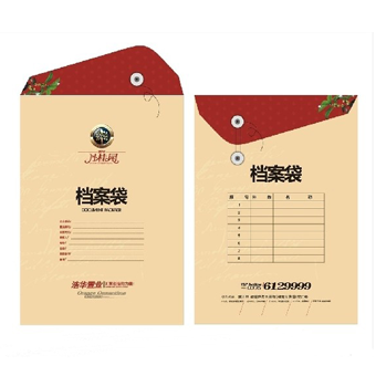 档案袋
